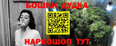 PSILOCYBIN Лесосибирск