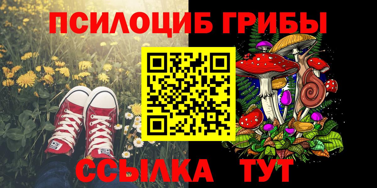 Галлюциногенные грибы GOLDEN TEACHER Донецк
