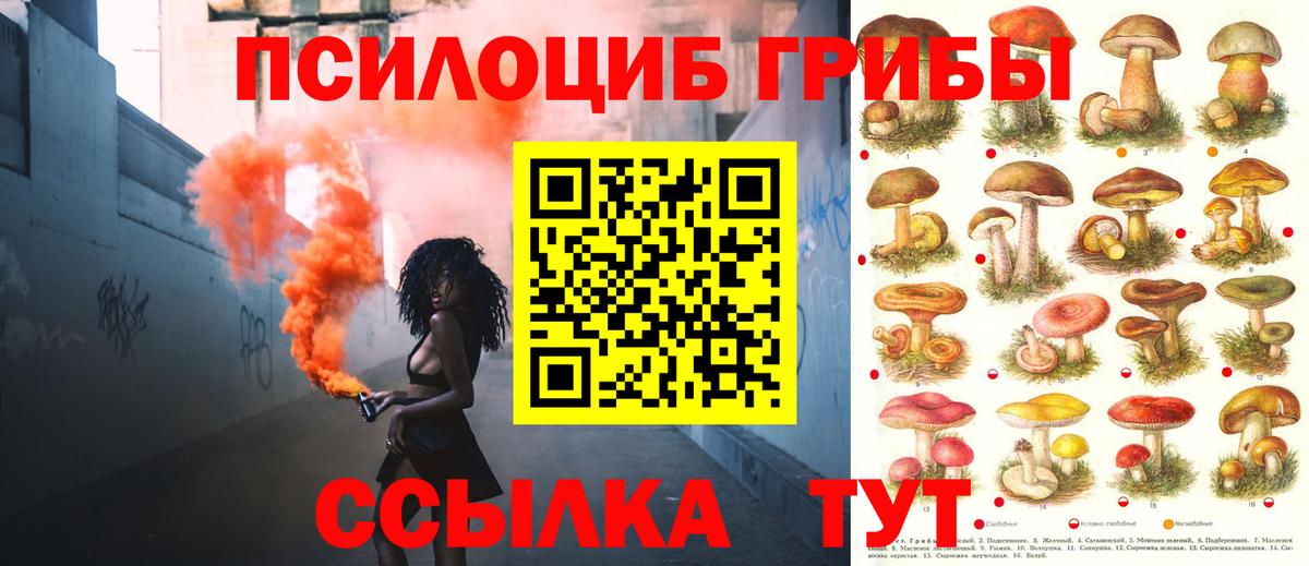 Донецк  Псилоцибиновые грибы прущие грибы  Вход с VPN 
